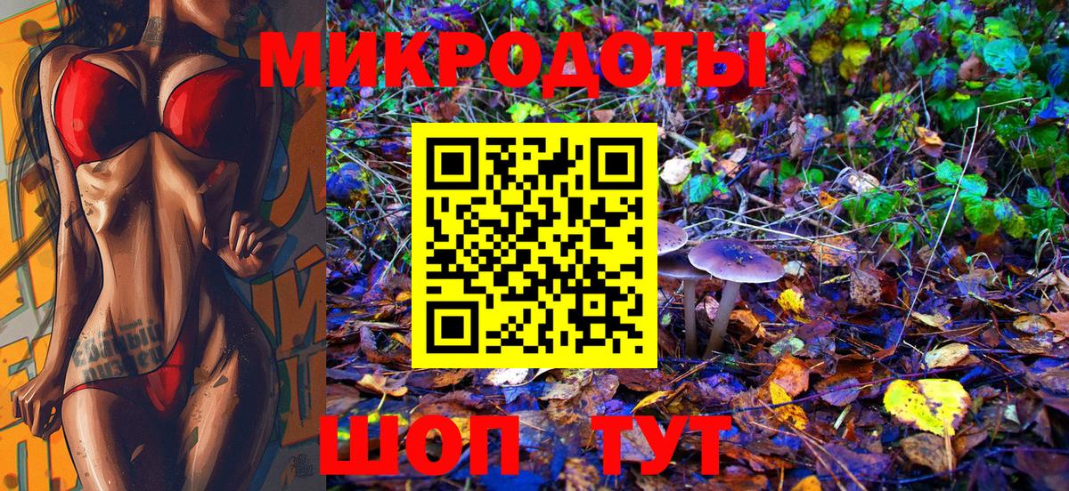 купить наркоту  Псилоцибиновые грибы мицелий  Псилоцибиновые грибы Cubensis  Вход с VPN  Кудрово 